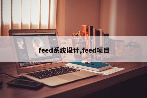 feed系统设计,feed项目